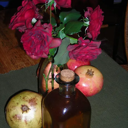 Ξενοδοχείο με διαμερίσματα Staggia Σάμη